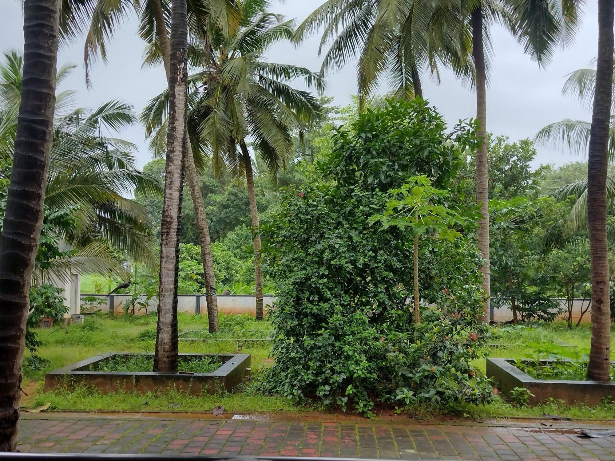 Jayadurga Farms - An Eco-Friendly Homestay Udupi Exterior foto